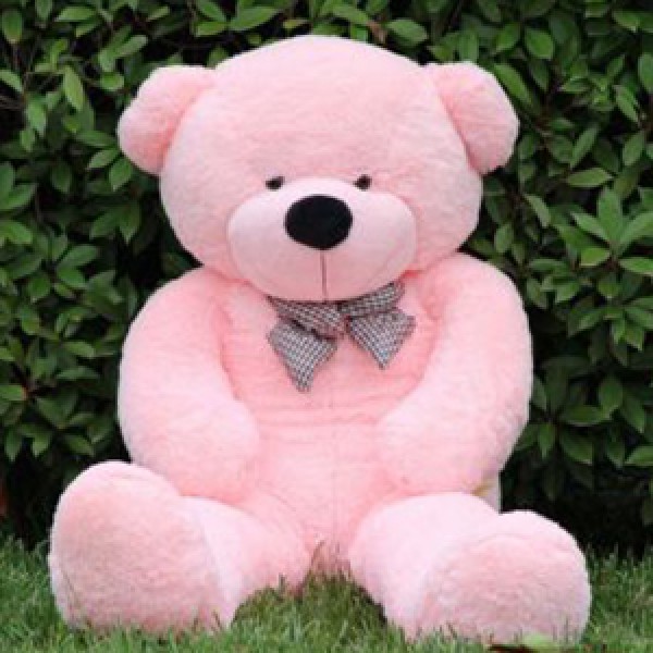 teddy bear online order